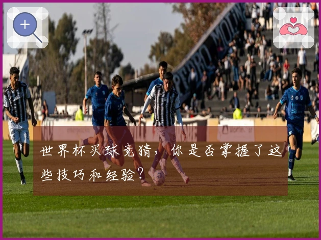 世界杯买球竞猜，你是否掌握了这些技巧和经验？