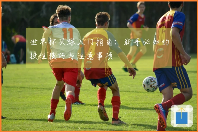 世界杯买球入门指南：新手必知的投注技巧与注意事项
