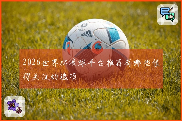 2026世界杯滚球平台推荐有哪些值得关注的选项
