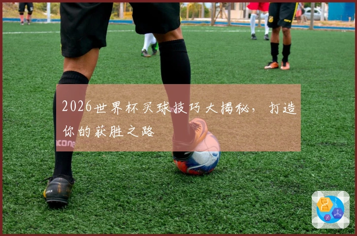 2026世界杯买球技巧大揭秘，打造你的获胜之路