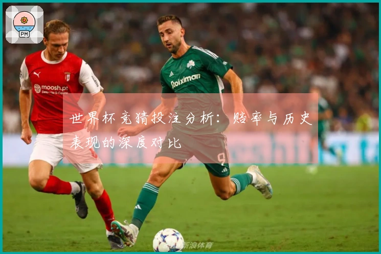 世界杯竞猜投注分析：赔率与历史表现的深度对比