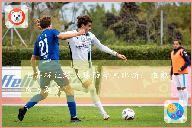 世界杯让球买球赔率大比拼，谁能成为赢家？