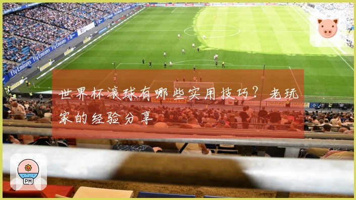 世界杯滚球有哪些实用技巧？老玩家的经验分享