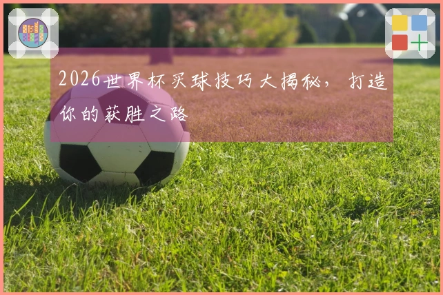 2026世界杯买球技巧大揭秘，打造你的获胜之路